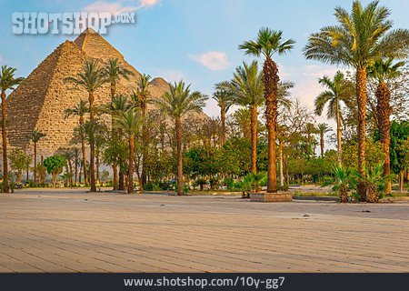 
                Park, Palme, Pyramiden                   