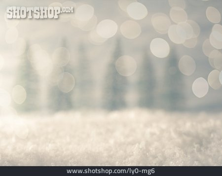 
                Defocused, Winter, Snow, Christmas Tree                   