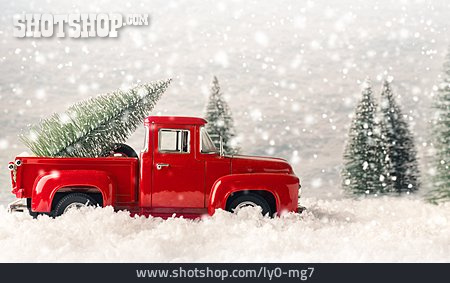 
                Transport, Auto, Weihnachtsbaum                   