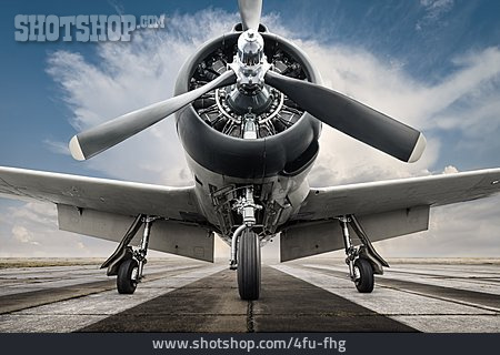 
                Flugzeug, Propellerflugzeug                   
