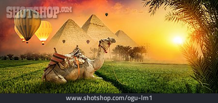 
                Heißluftballon, Pyramiden, Kamel                   