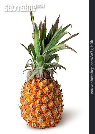 
                Ananas                   