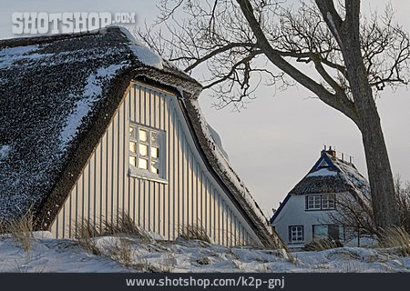 
                Winter, Verschneit, Reetdachhaus                   