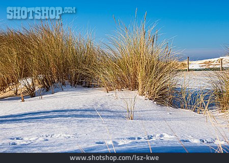 
                Winter, Düne, Ostseeküste                   