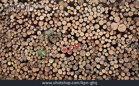 
                Wood, Wood Pile, Wood Logs                   