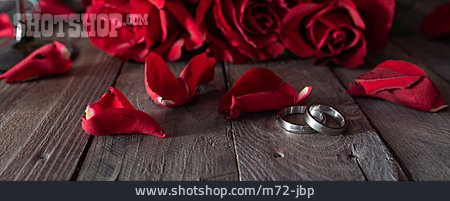 
                Rote Rosen, Verlobung, Heiratsantrag                   