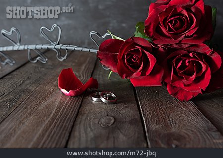 
                Love, Red Roses, Marriage Proposal                   
