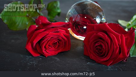 
                Rote Rose, Glaskugel                   