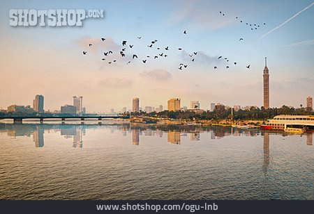 
                Vogelschwarm, Nil, Kairo                   