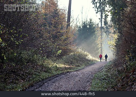 
                Waldweg, Spaziergänger                   