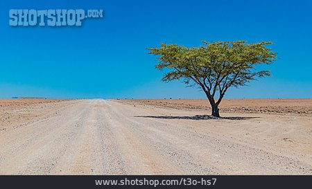 
                Wüste, Namibia, Schotterpiste                   