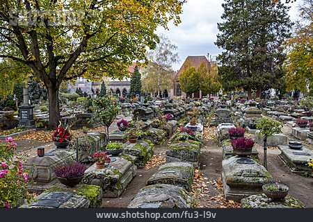 
                Friedhof, Gräber                   