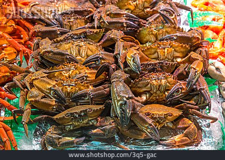 
                Fischmarkt, Krabben                   
