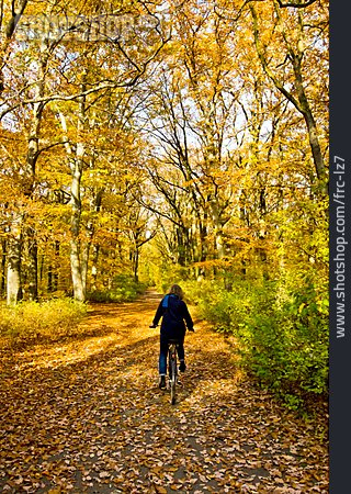 
                Herbstwald, Radfahren                   