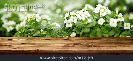 
                Blumen, Frühling, Holztisch                   