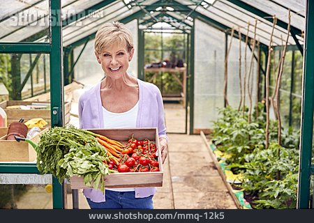 
                Seniorin, Glücklich, Gemüse, Ernte, Eigenanbau                   