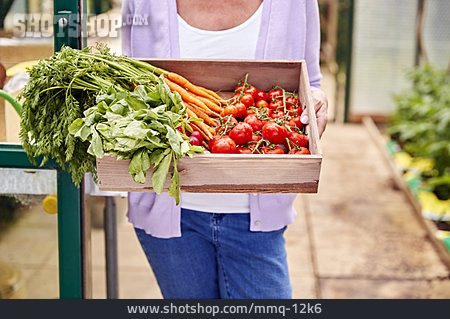 
                Gemüse, Karotte, Tomate, Ernte                   