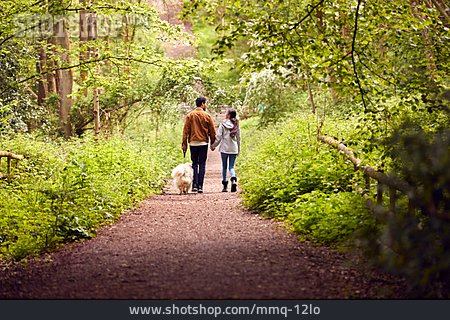 
                Couple, Forest, Walk, Dog                   