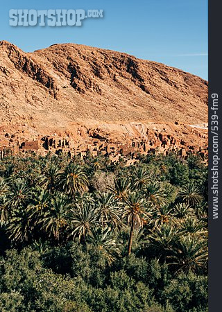 
                Dorf, Wüste, Palme, Marokko                   