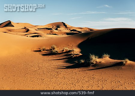 
                Wüste, Hitze, Sanddüne, Marokko                   