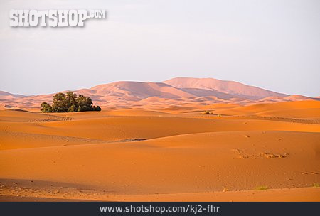 
                Wüste, Dünenlandschaft, Erg Chebbi                   