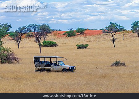 
                Geländewagen, Namibia, Safari                   