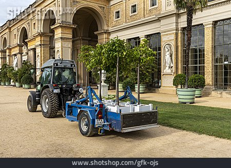 
                Orangerie, Traktor, Gärtner, Sanssouci                   