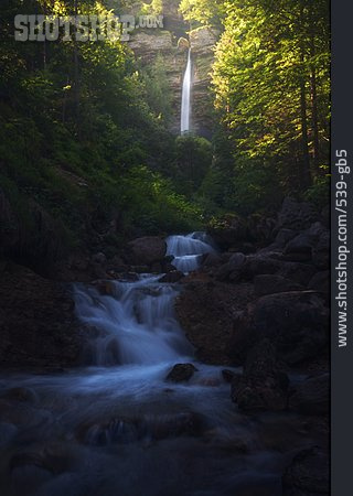 
                Waterfall, Forest, Mysterious, Mystical                   