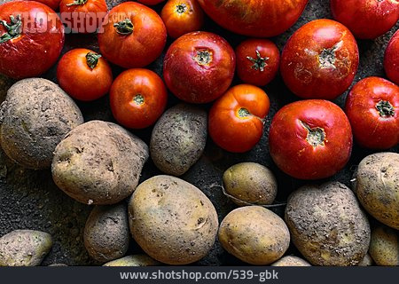 
                Tomate, Ernte, Kartoffel, Erntefrisch                   