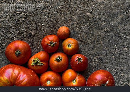 
                Tomate, Bio, Erntefrisch                   
