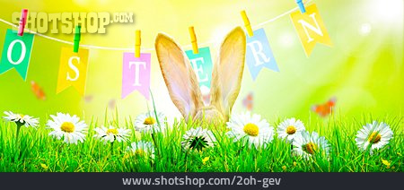 
                Easter, Flower Meadow, Easter Bunny, Rabbit Ears, Springtime                   