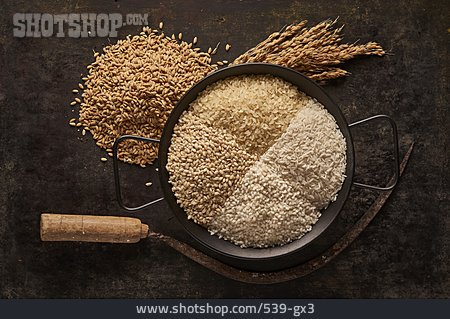 
                Getreide, Reis, Grundnahrungsmittel                   