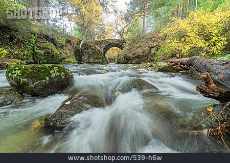 
                Herbst, Wildbach, Steinbrücke                   
