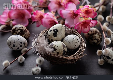 
                Spring, Easter Decoration, Bird's Nest                   