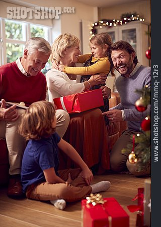 
                Glücklich, Weihnachten, Familie, Bescherung, Weihnachtsbaum, Großeltern                   