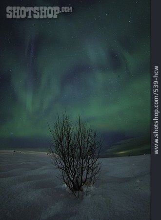 
                Norwegen, Nachthimmel, Aurora Borealis                   