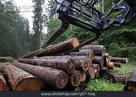 
                Holzstapel, Forstwirtschaft, Langholz, Nutzholz                   