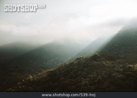 
                Nebel, Berge, Kalifornien                   