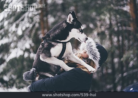 
                Spaziergang, Tierliebe, Siberian Husky                   