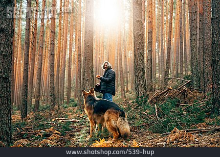 
                Apportieren, Deutscher Schäferhund, Waldspaziergang                   