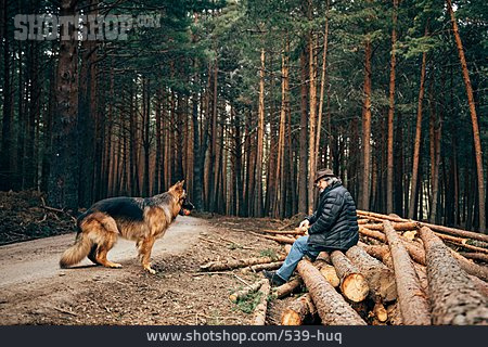 
                Hund, Apportieren, Waldspaziergang                   