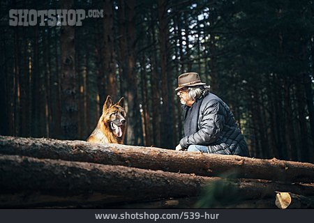 
                Hund, Deutscher Schäferhund, Waldspaziergang                   