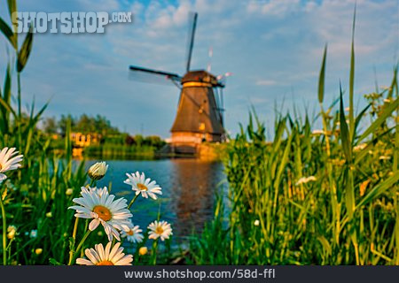 
                Kanal, Windmühle, Blumenblüte                   