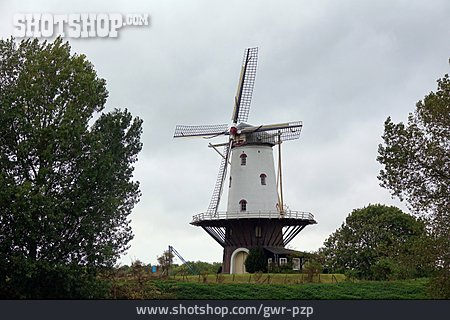 
                Windmühle, De Koe                   