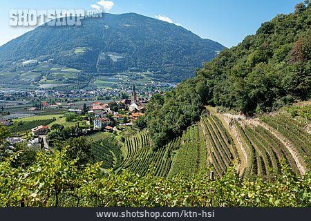 
                Südtirol, Obstanbau, Algund                   