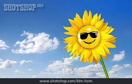
                Sonnenblume, Sonnenschein, Sonnig                   