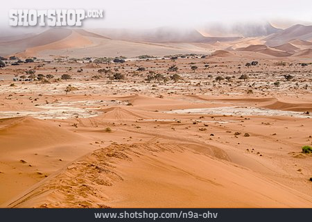
                Wüste, Sanddüne, Wüste Namib                   