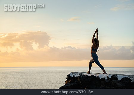 
                Yoga, Outdoor Yoga, Utthita Ashwa Sanchalanasana                   