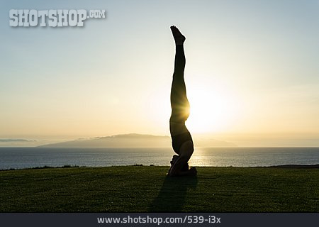 
                Yoga, Kopfstand, Outdoor Yoga                   