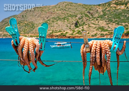 
                Tintenfisch, Griechenland, Oktopus                   